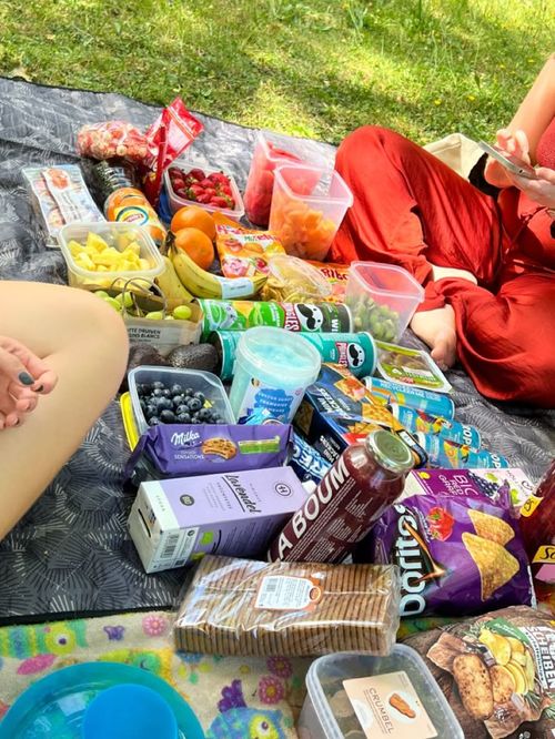 Queer piknik a Margit-szigeten